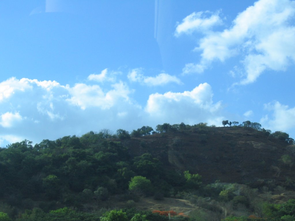 View from expressway by Ketaki Shikhare