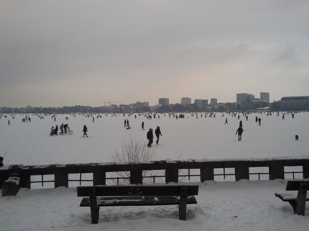 Hamburg, Außenalster 02.2010 by seb100484