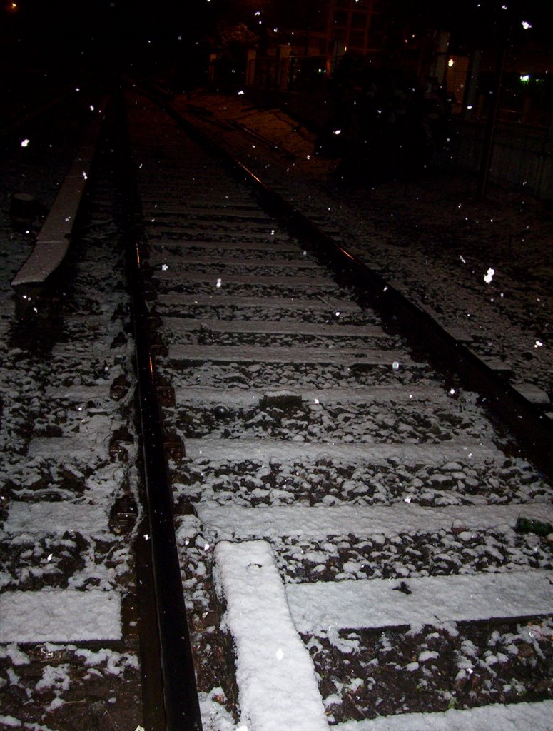 Las vias del tren Mitre ..... by andysanisidro