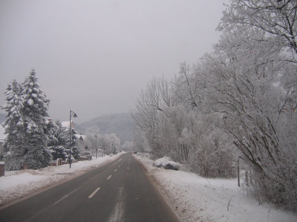 Kelbra, Frankenhäuser Strasse by waldwind