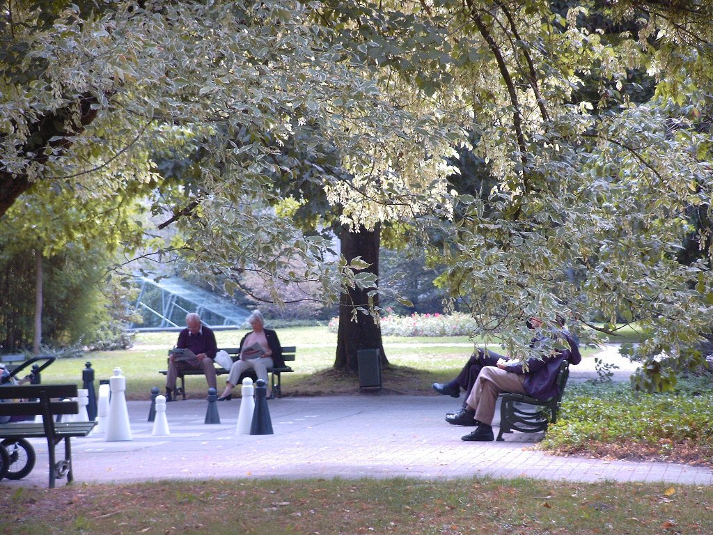 Erholung beim Park-Schach by Charly Hafner