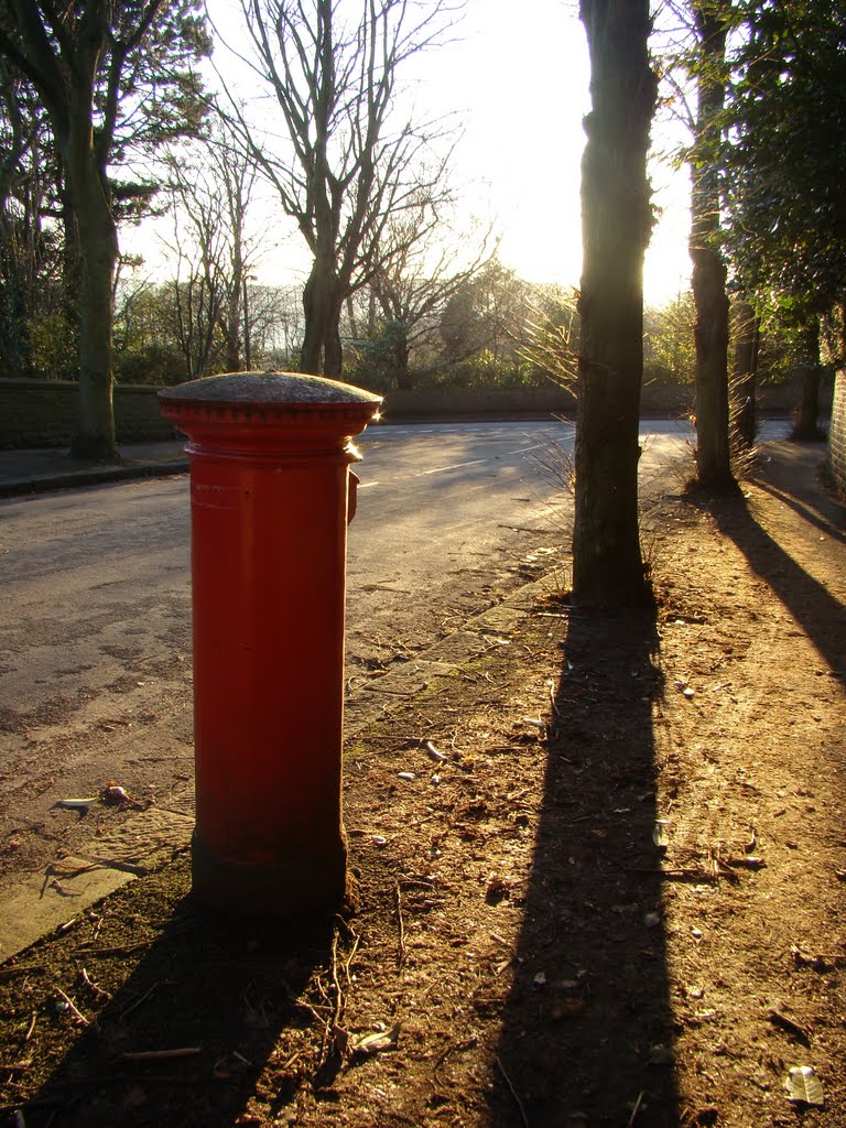 Post box, trees and shadows on Ranmoor Cliffe Road, Ranmoor, Sheffield S10 by sixxsix