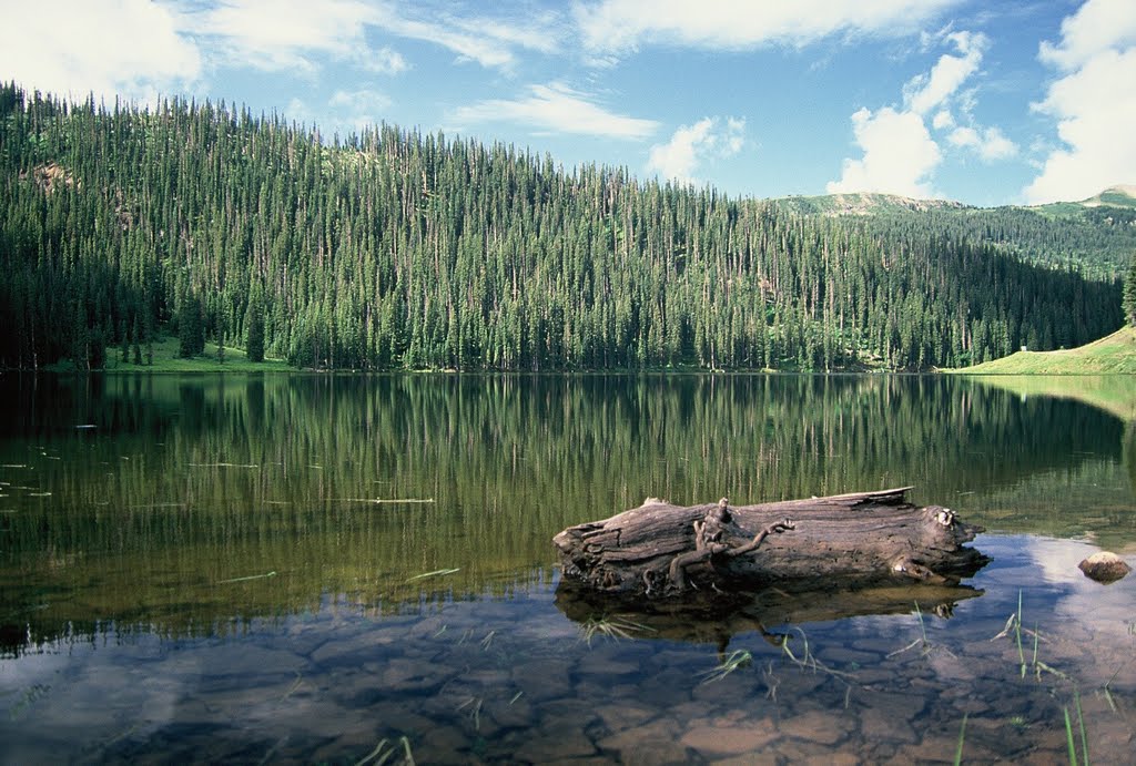 Alberta Park Reservoir by Hinshaw