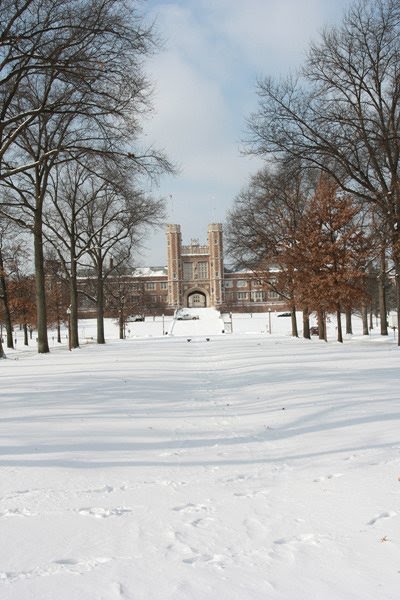 WUSTL in snow by Fige_WUSTL