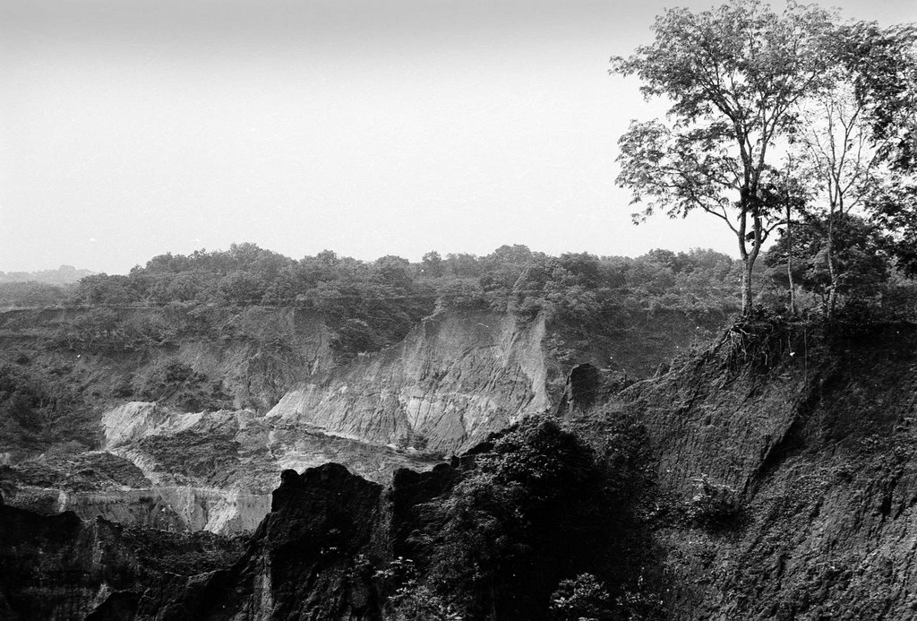 Erosion Site near Agulu, 1983 by hermaxi