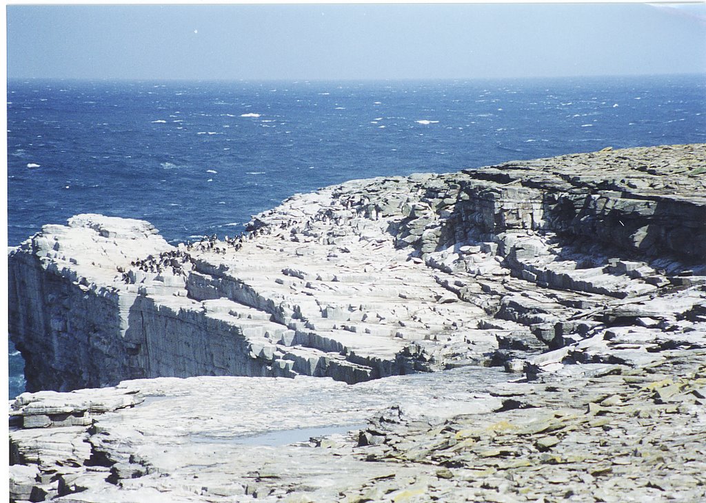 Rockhopper Point, Sea Lion Island 1997 by Huw Lewis