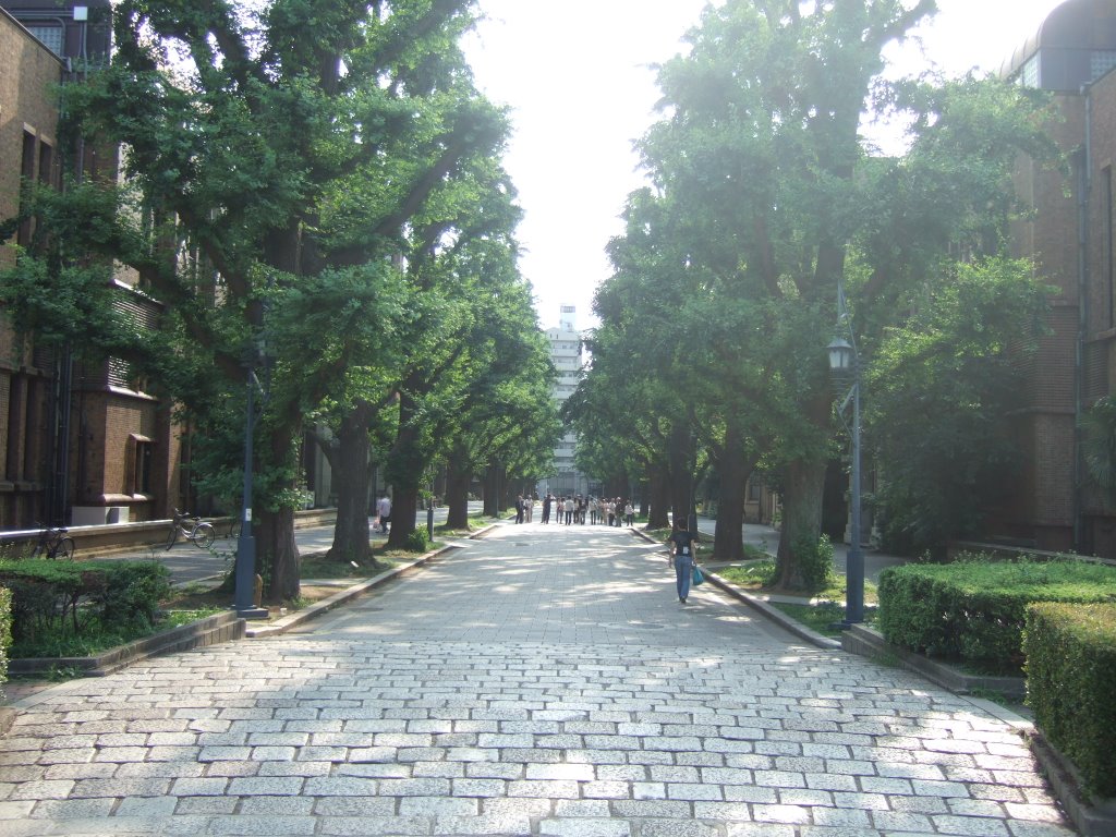 Tokyo Univ. by a-furuta