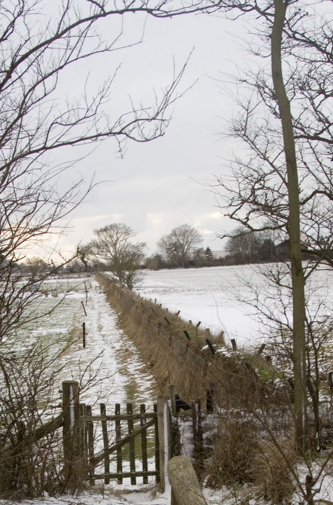 Texel - Hoge Berg - Skillepaadje - View WSW by txllxt