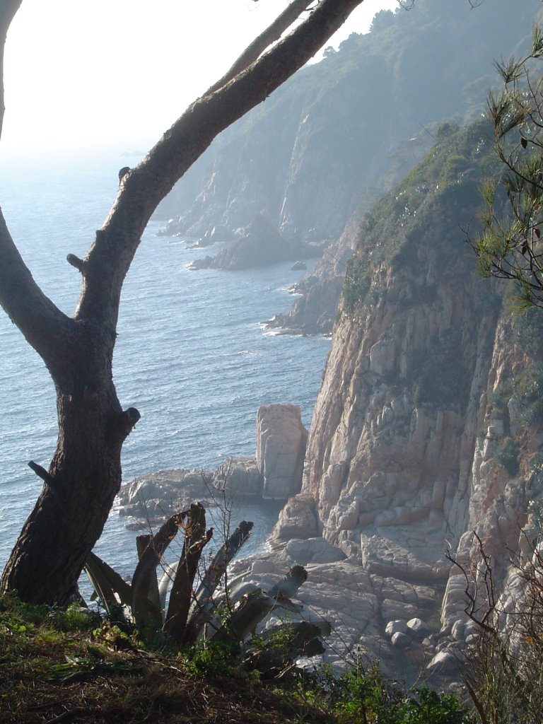 Tossa de Mar (vista sur) by Valentin Cabrerizo