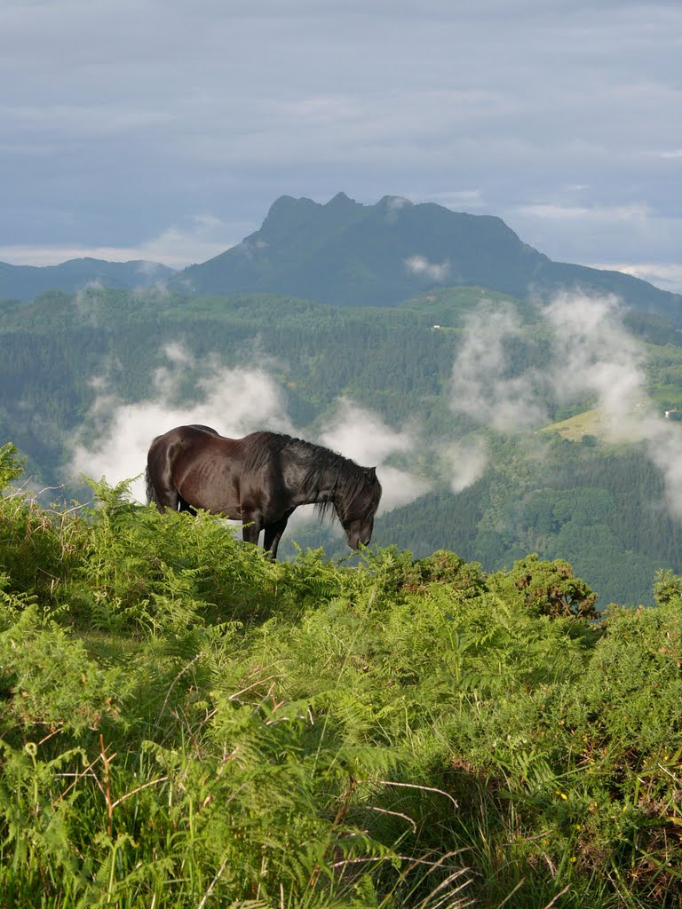 Pastando en Manttale a la vista de Peñas de Aia by Francisco Beltran de Heredia