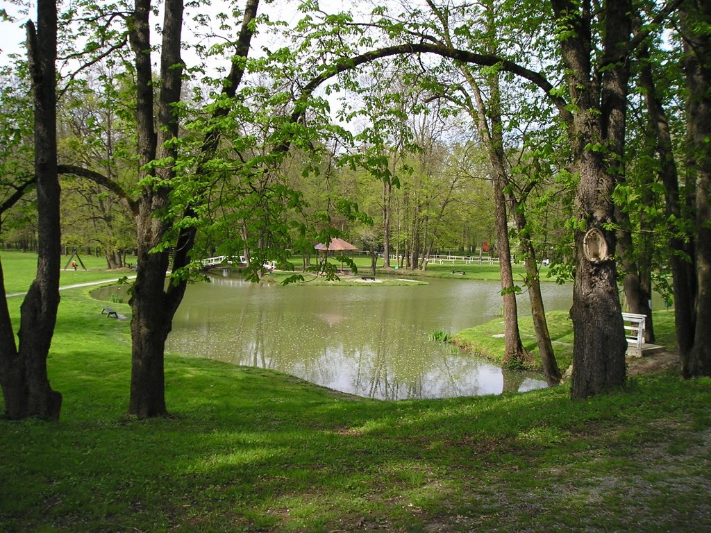 Fish pond Pejacevic by Ivana Batrac