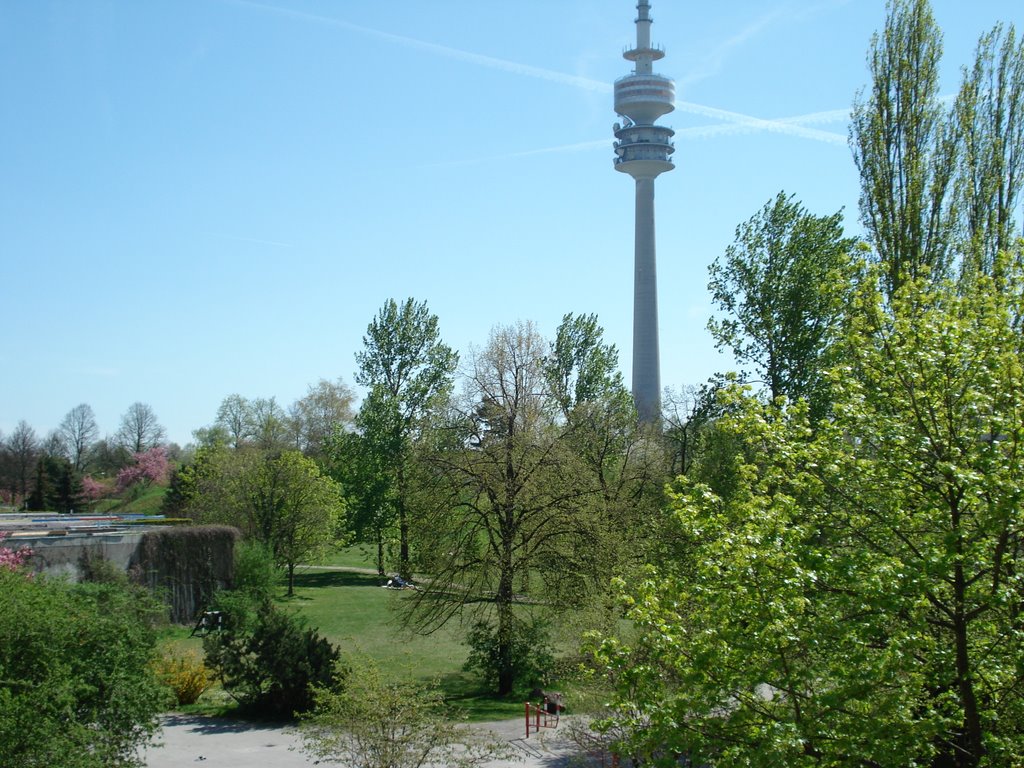 Munich - Conollystraße - spring by marfab2