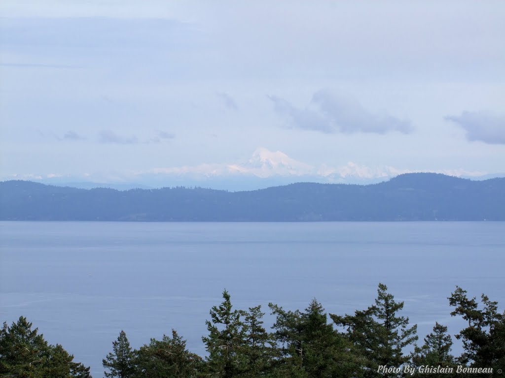 2010-02-15-117-VIEW SOUTH EAST FROM MOUNT DOUGLAS-VICTORIA-B.C.-(More Photos on My Website at gbphotodidactical.com) by GHISLAIN BONNEAU