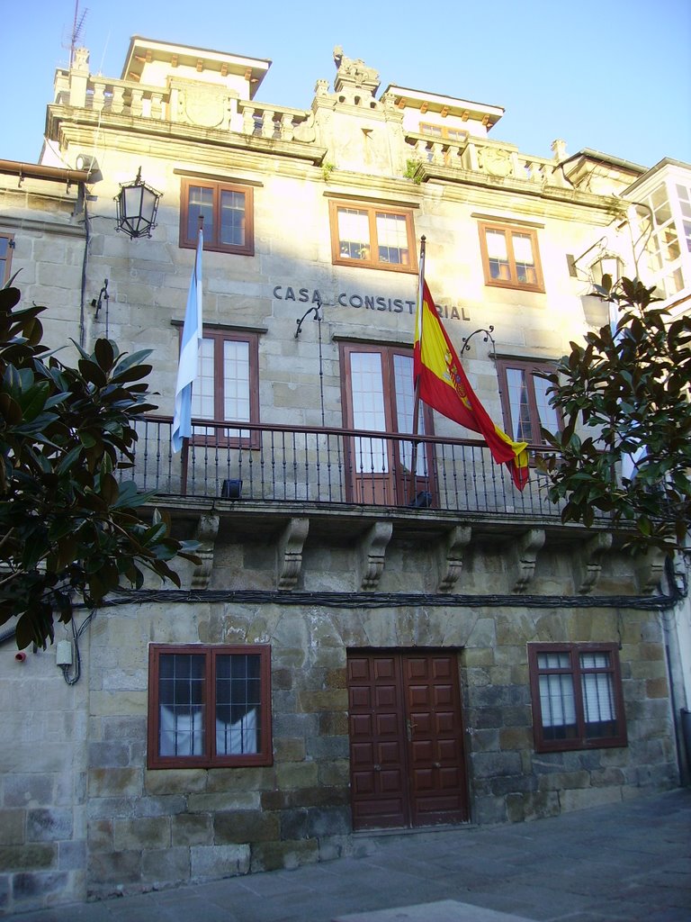 Casa Consistorial, Viveiro by jorgegetafe