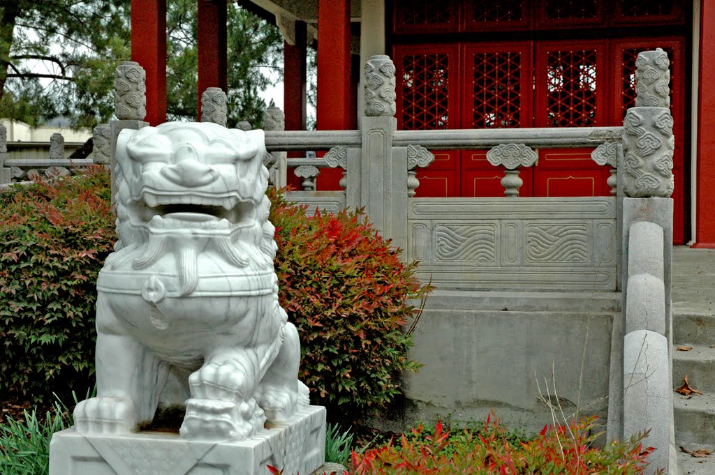 Overfelt Gardens/Chinese Cultural Gardens in San Jose, CA by thebeamer