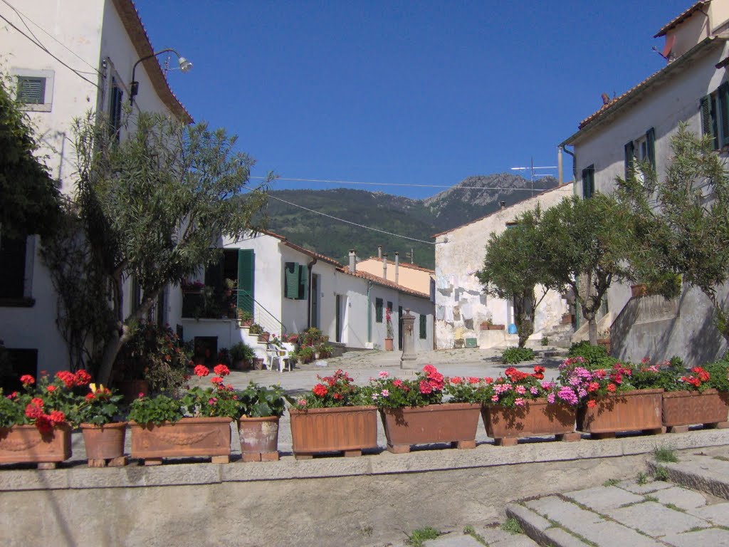 S. Piero - Campo nell'Elba - Toscana by birgitof