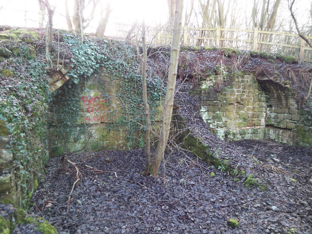 Powder store later stables for Old Lodge Furnaces by nigel c-h