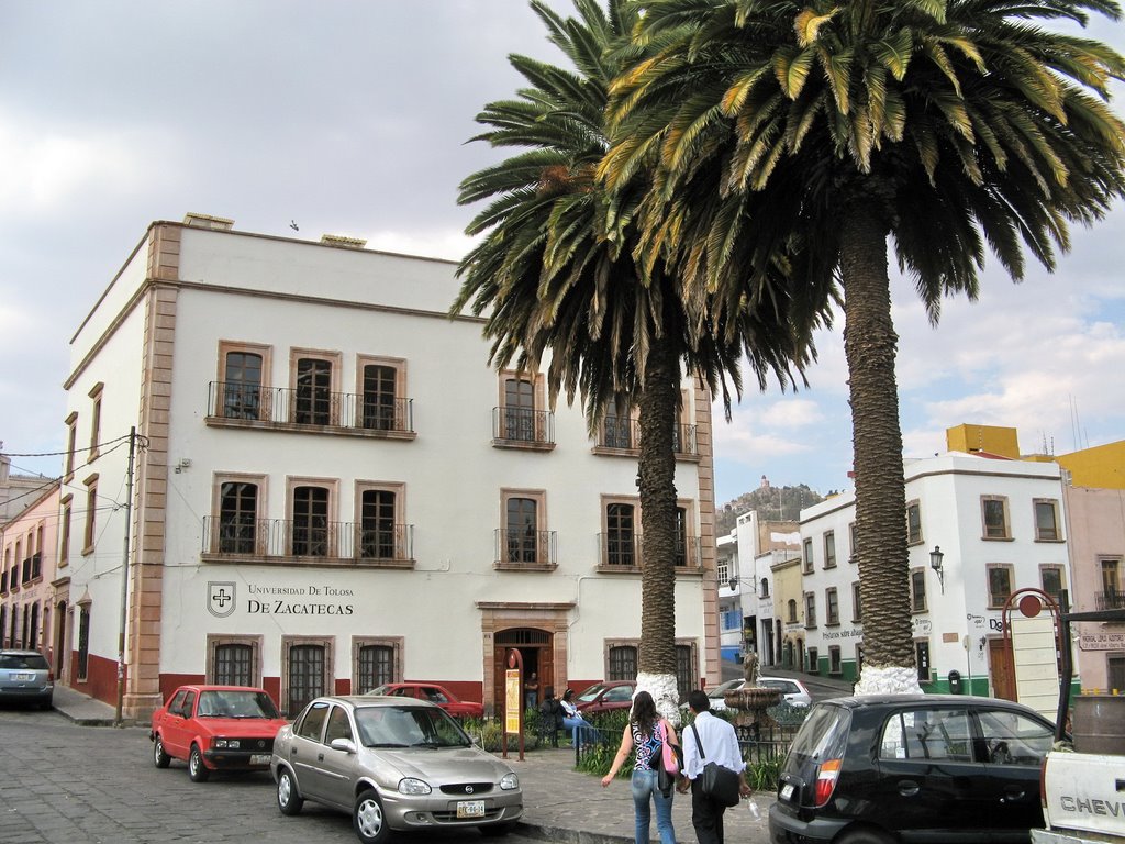 Two palm trees in front of a university building by fotokönig