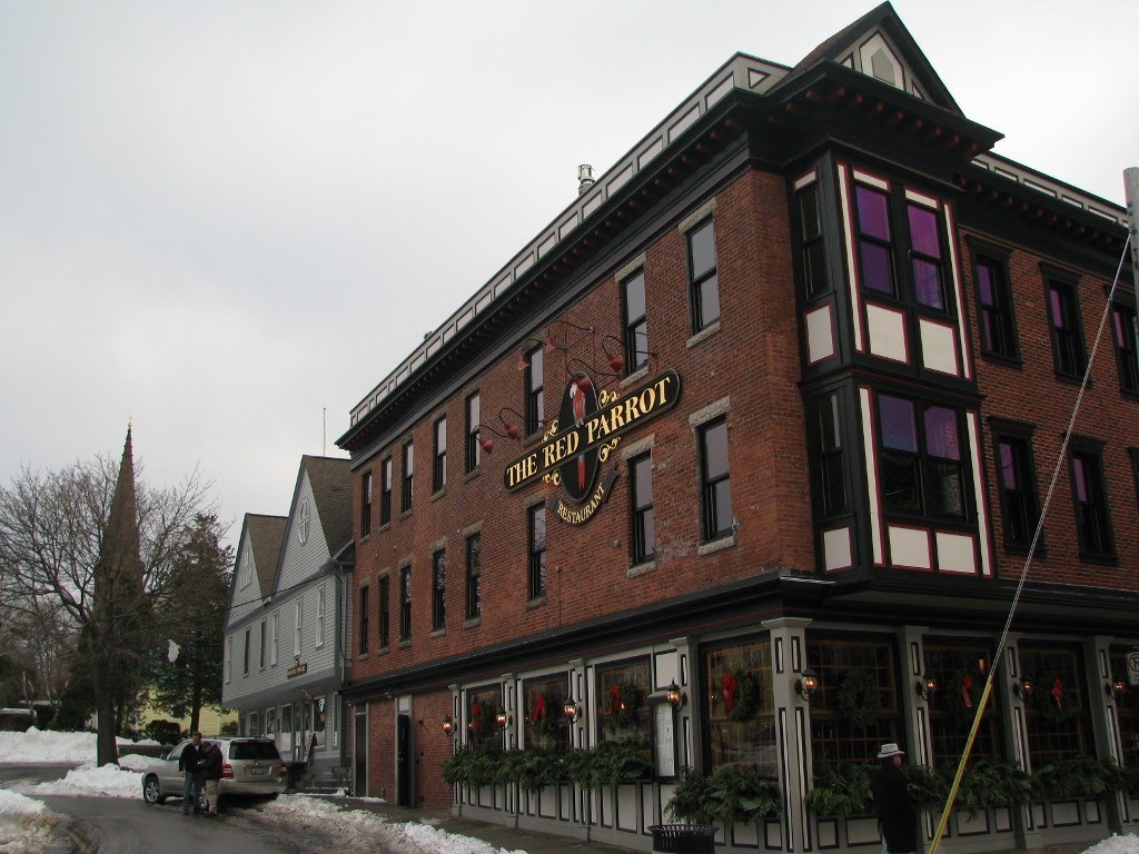 The Red Parrot by Dana Jensen