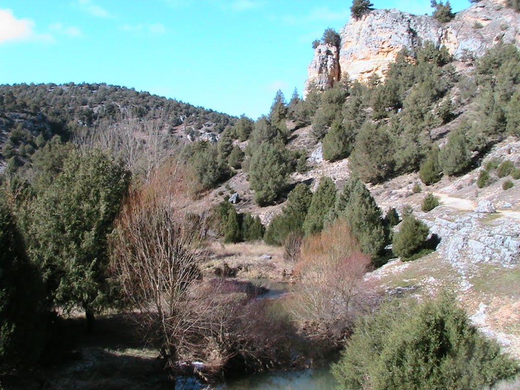 Sabinas en Ura by ebejar