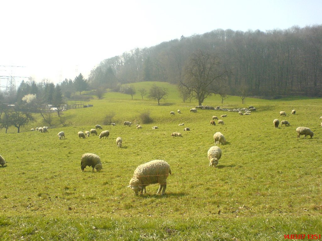 Malters, Switzerland by zeyneldogan