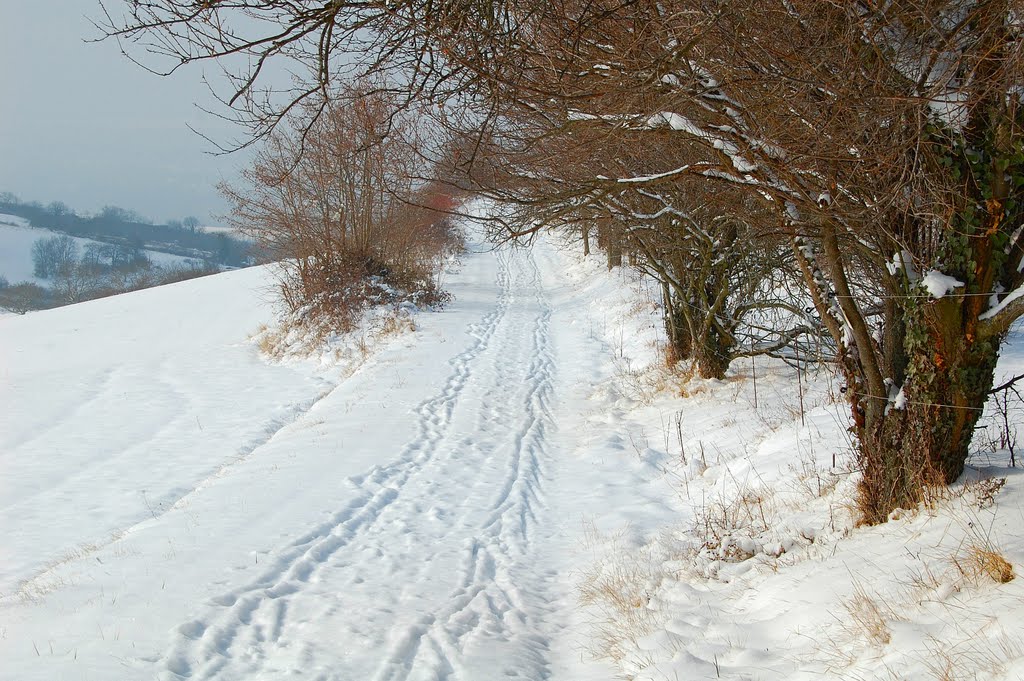 Chemin menant à Mezel by Les Argonautes