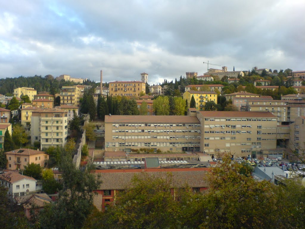 Facolta di scienze by birtann