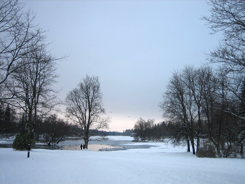 Gatchina's park by makinen