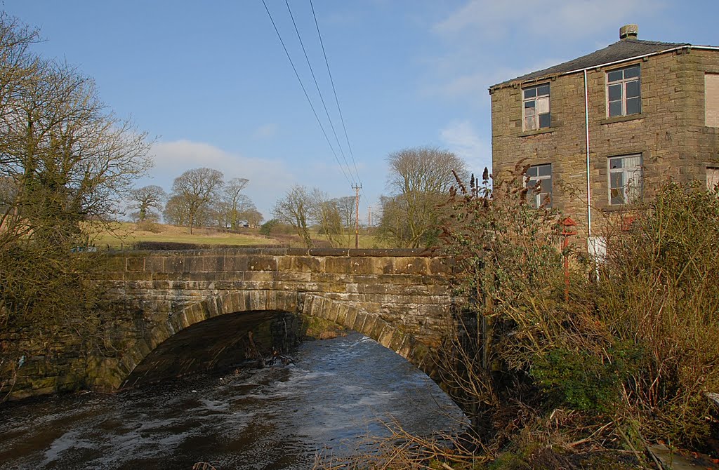 Roach bridge by David Humphreys