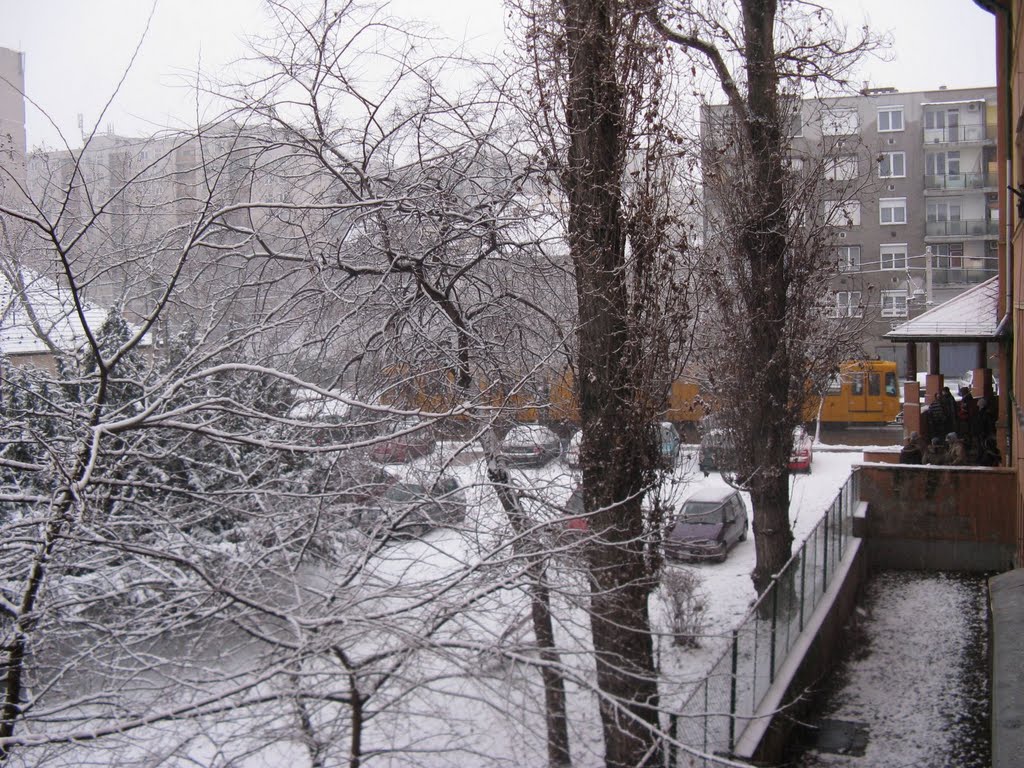 Der Park und die Straße vor der Schule by ildiko.bajor