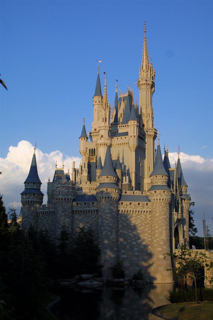 Cinderella's Castle by J David Netterville