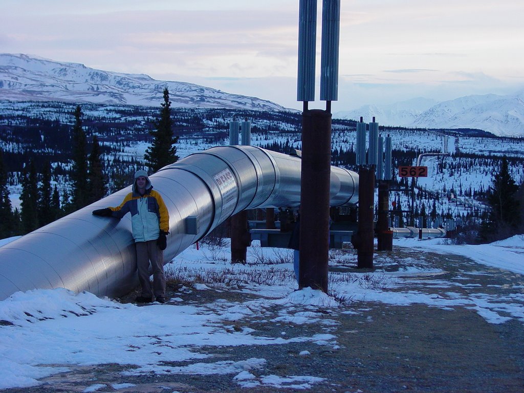 Alaska Pipeline south of Delta Junction by Jonathan Shotton