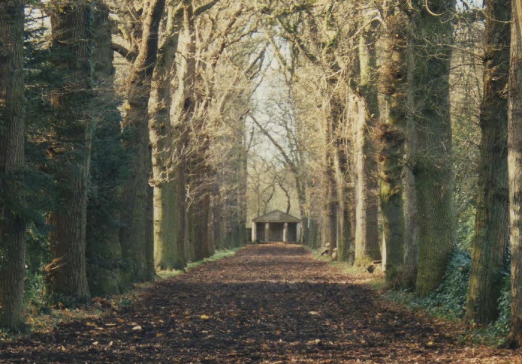 Aerdenhout, Eikenallee op landgoed van het gesloopte kasteel Kareol by Paul Jarko