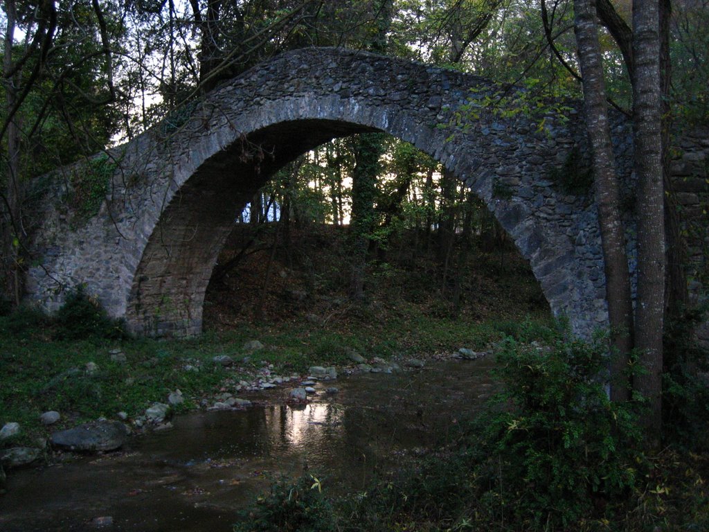 Pont de la Riera by santi_el_trialer