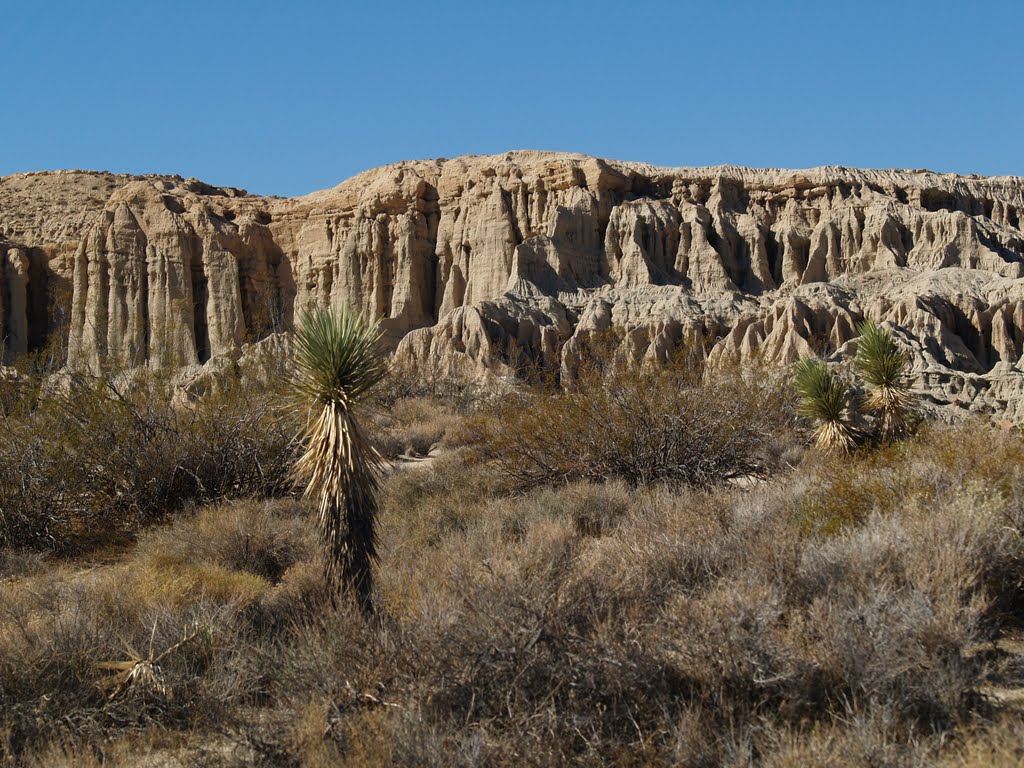 Red Rock Canyon Series by clintasaurus