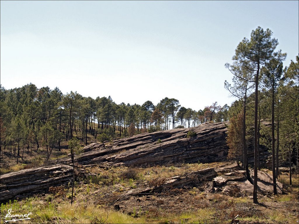 70710-13 ABLANQUE. SALVADOS DEL INCENDIO by VICMAEL