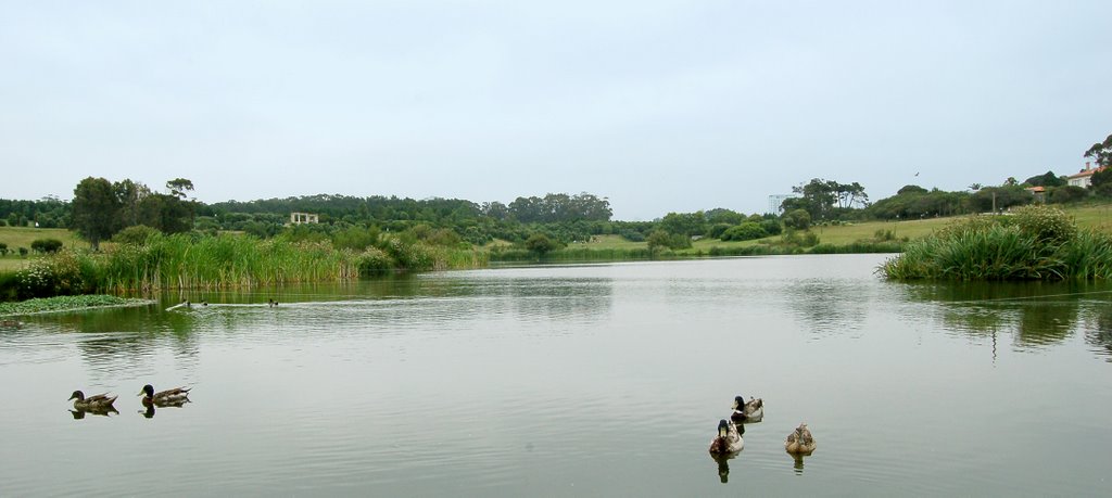 Parque da cidade by José Pereira