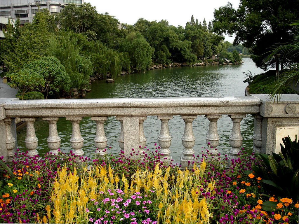 Bridge, Guilin by Francisco Morales