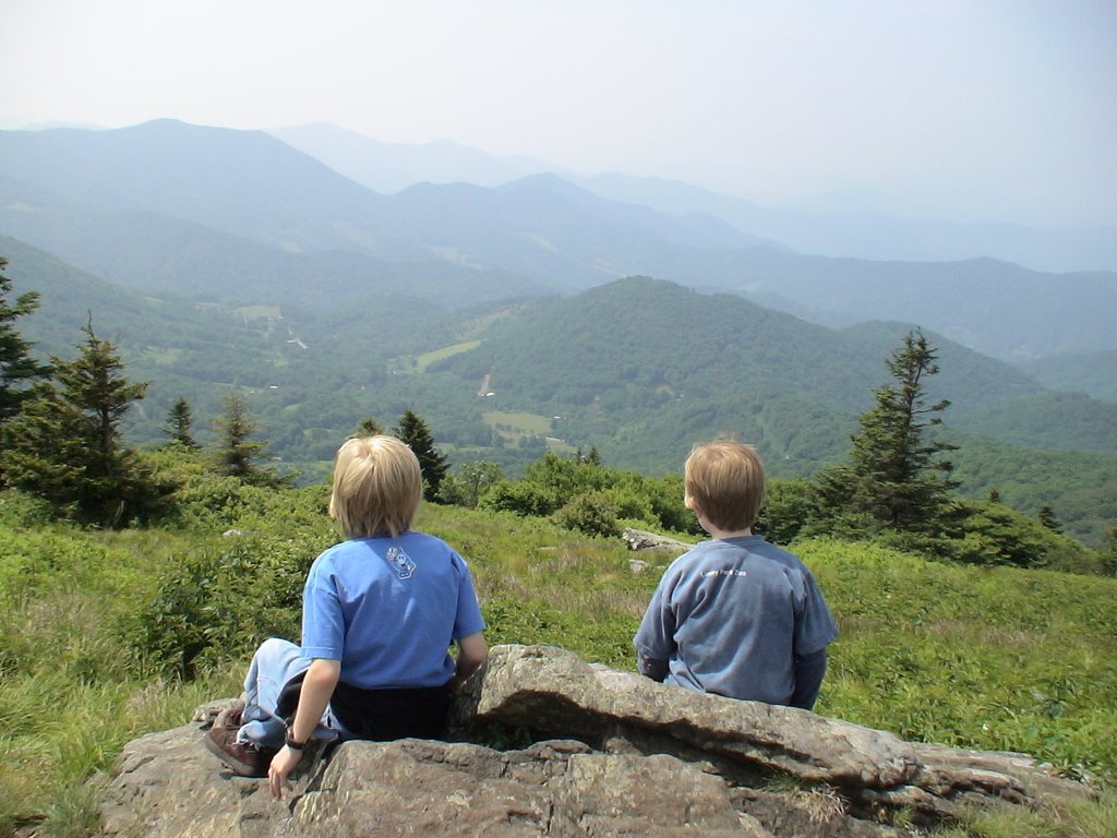 Summer on Round Bald by mwyatt