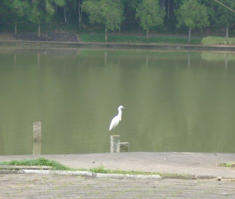 Parque Malwee by Juarez Zauza