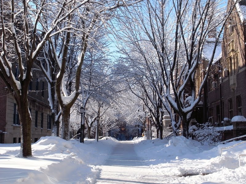 Penn campus - 36th St. after snow by Justin Zhu