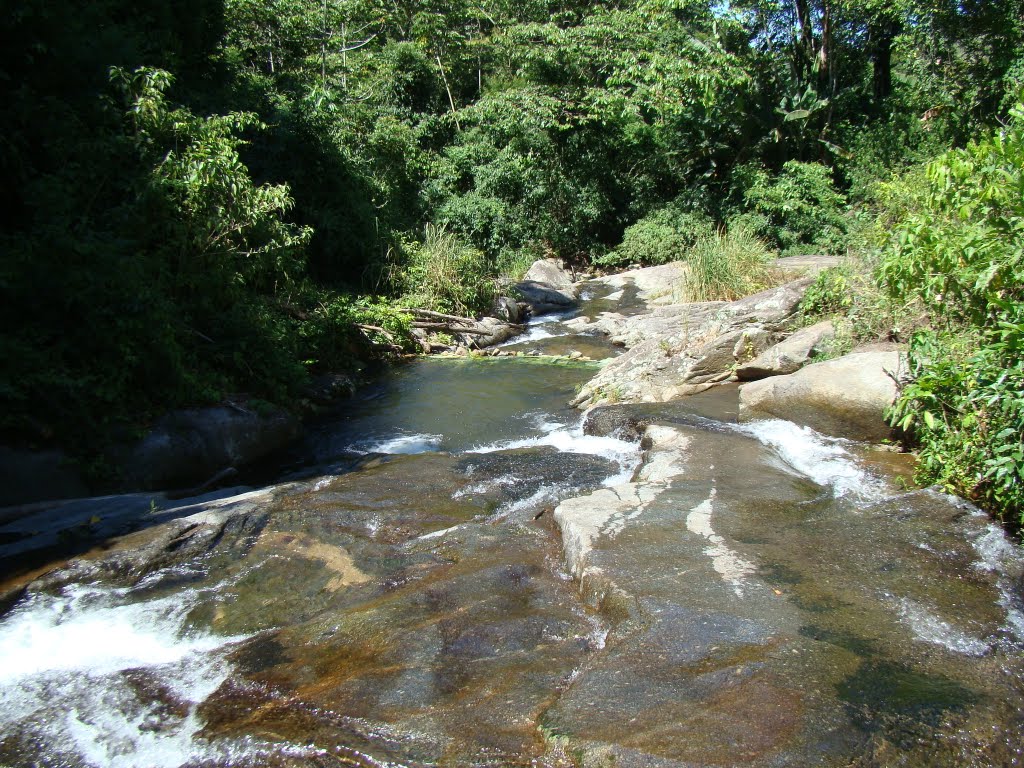 Rio Mucuíba by ADILSON REZENDE-ARS