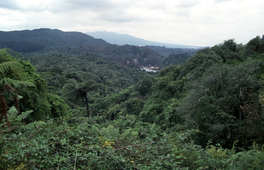 Valley from the Entrance by MBagyinszky