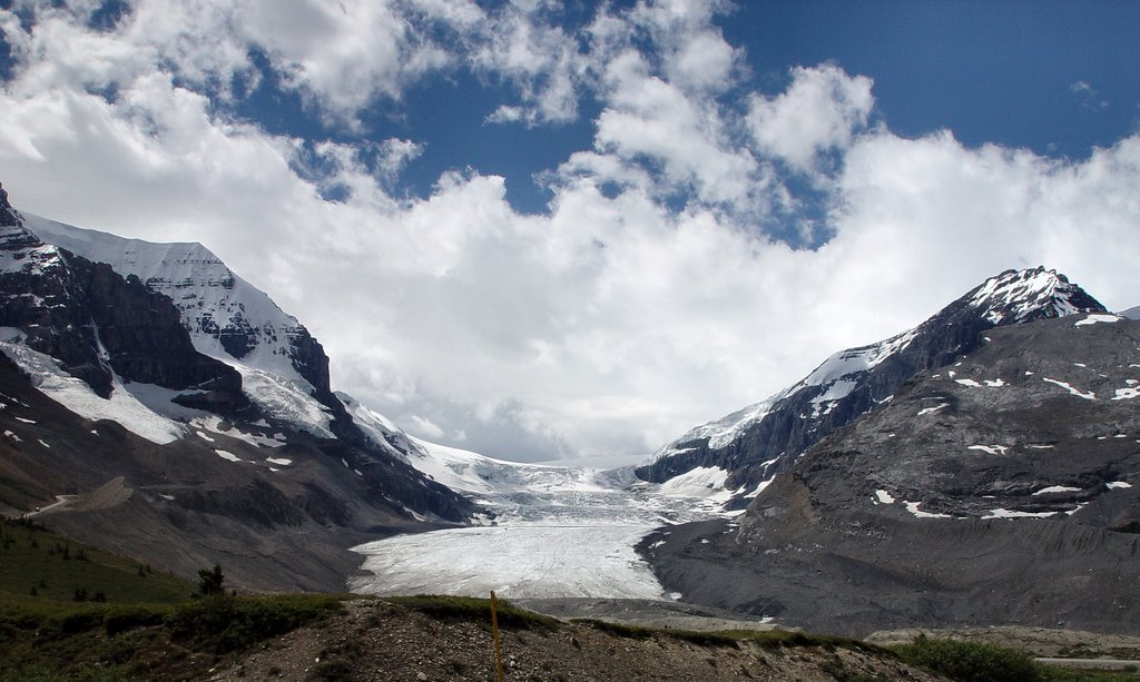 Columbia Icefield, Jasper National Park by braavo