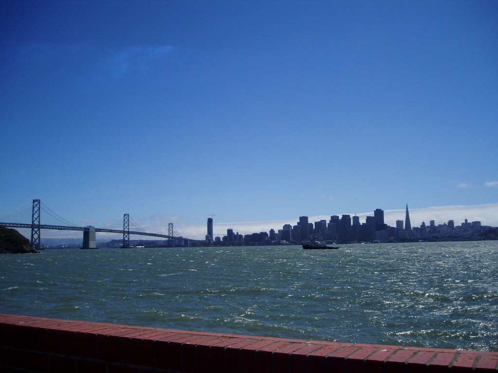 San Francisco and Bay Bridge view from Treasure Island by jbird1277