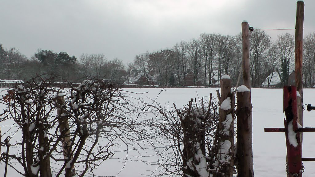 Spaziergang im Schnee by Wandern in Ostbelgien