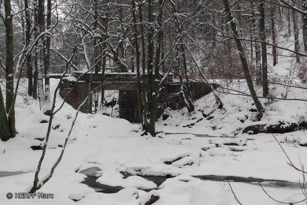 Spaziergang im Schnee by Wandern in Ostbelgien