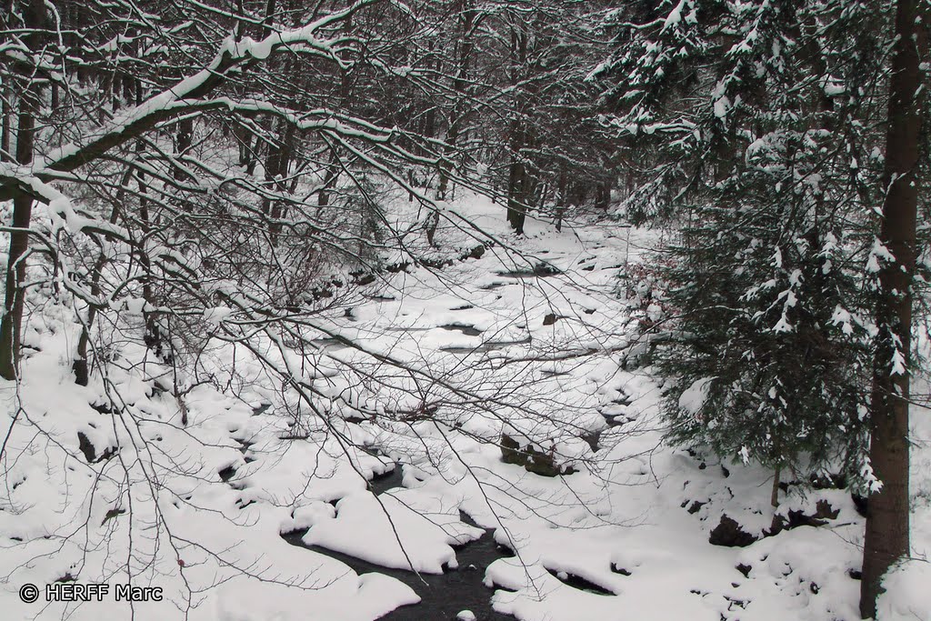 Spaziergang im Schnee by Wandern in Ostbelgien