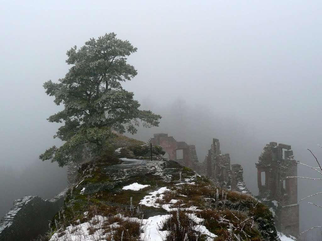 Neuscharfeneck im Nebel by Validierer