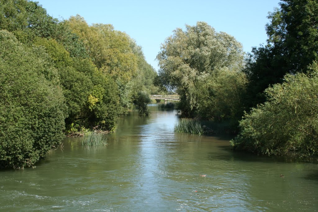 Looking downstream from Buscot Lock, Oxfordshire by Roger Sweet